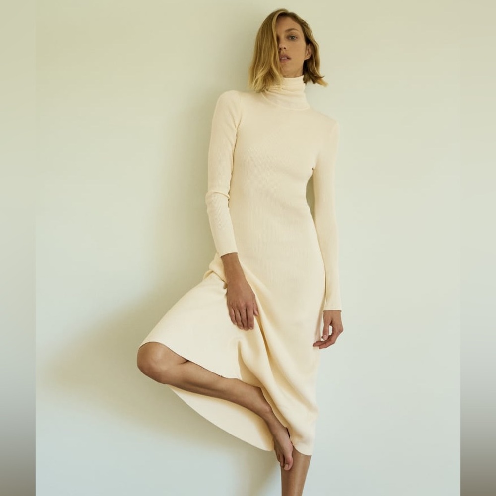 Zara Rib Knit Long Sleeve Turtleneck Dress